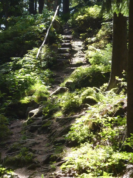 Bayerischer-Wald-2012 070