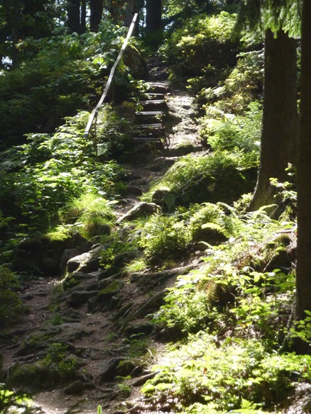 Bayerischer-Wald-2012 070